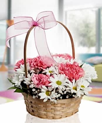 Karanfil Papatya Sepeti