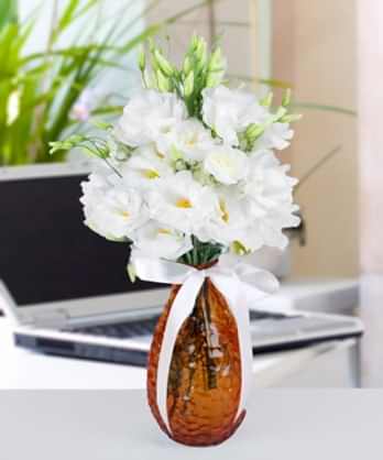 Zarif Beyaz Lisyantuslar Zarif Beyaz Lisyantuslar