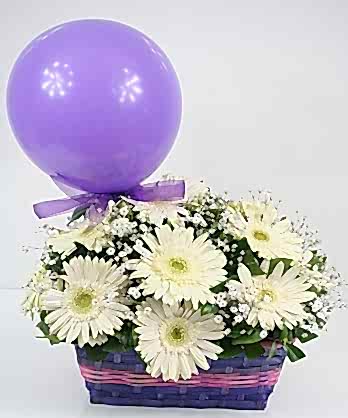 Şirin Beyaz Sepet Aranjman