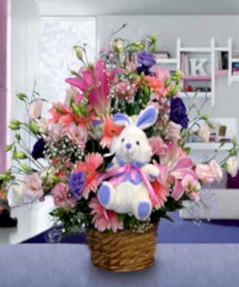 Oyuncaklı Sevimli Aranjman