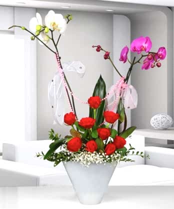 Orkideler Güller Sevgi Seli