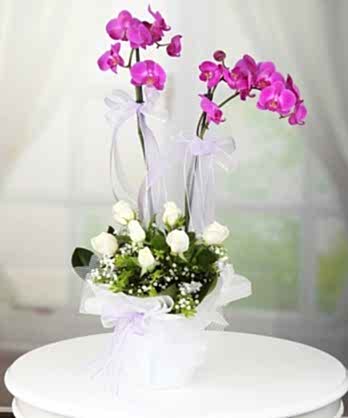İkili Mor Orkide Beyaz Güller