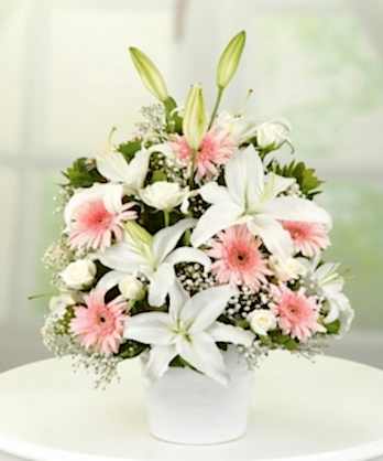 Zarif Pembe Beyaz Aranjman