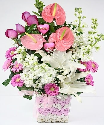 Pembe Beyaz Mutluluk