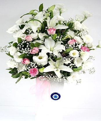 Mutlu Bir Başlangıç