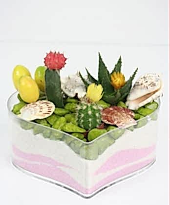 Kalpte Kaktüs Bahçesi