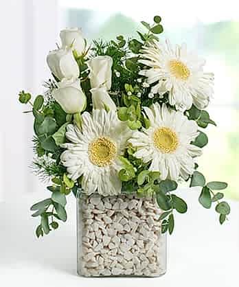 Asetat Vazo Gerbera Güller