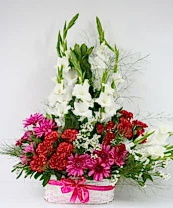 Her Zaman Yanındayız