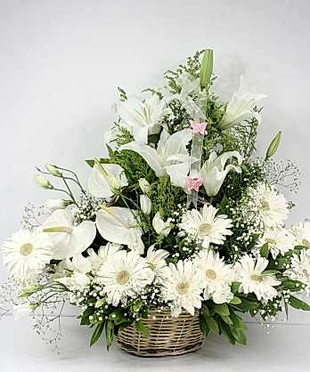 Zarif Beyaz Aranjman