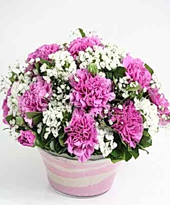 Pembe Beyaz Şirin Kase