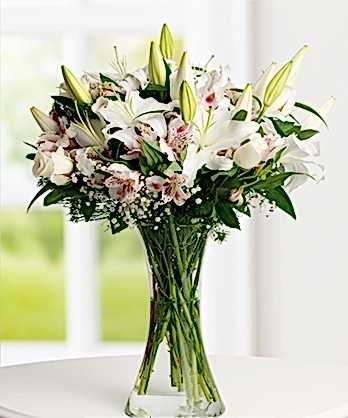 Sadeliğin Işıltısı