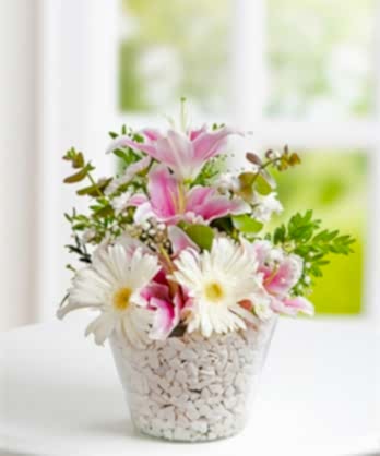 Zarif Pembe Beyaz Kase