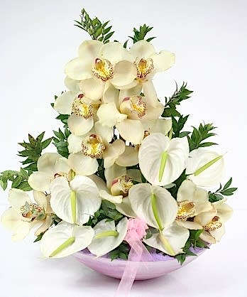 Zarif Orkideler Antoryumlar