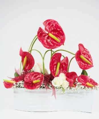 Sevgimiz Kadar Özel