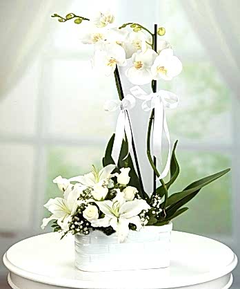 Beyaz Orkide Lilyum Güller