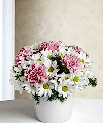 Duygularını Dile Getir