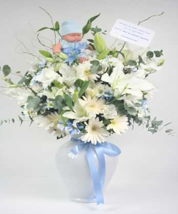 Aramıza Hoş Geldin