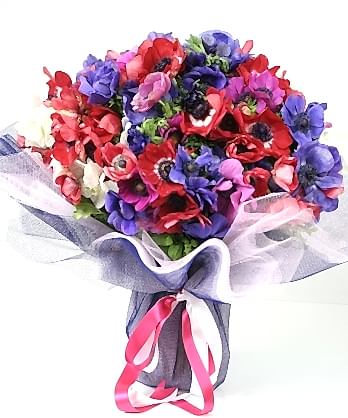 Sonsuz Sevgi Sonsuz Sevgi