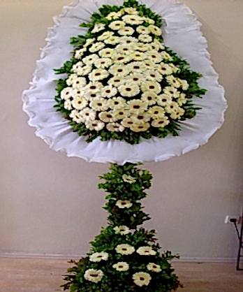 Beyaz Düğün Çiçeği