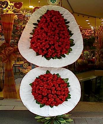 Kırmızı Karanfil Gelin Duvak