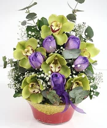 Orkideler Renkli Güller