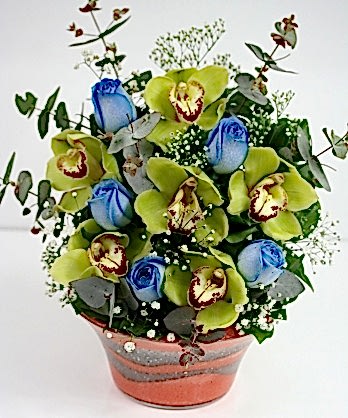 Orkideler Mavi Güller