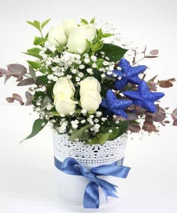 Zarif Beyaz Güller Zarif Beyaz Güller