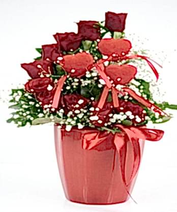 Kalpli Kırmızı Güller