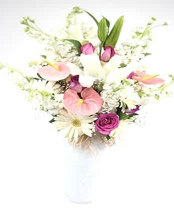 Gönlümün Sultanı