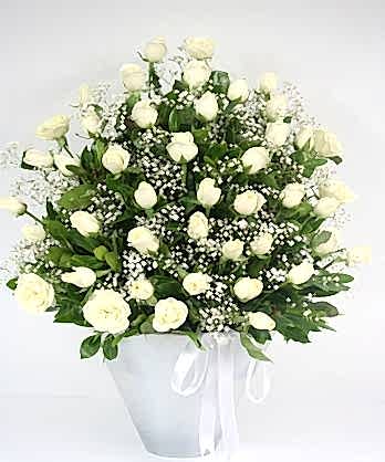 Aşkıma Beyaz Güller