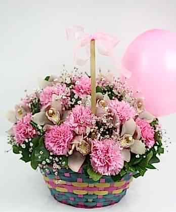 Ada Karanfilleri Orkideler