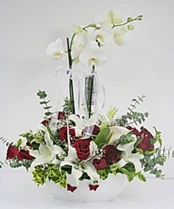 Orkideler Güller Lilyumlar