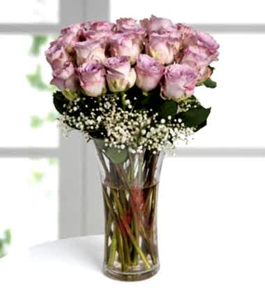 Eflatun Güller Özel Aşk