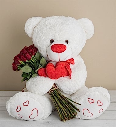 Sevimli Büyük Ayıcık